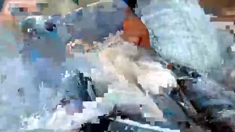 usabound online show from 10/16/25, 12:39