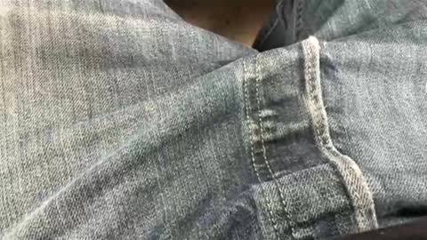 usabound online show from 05/02/26, 11:48