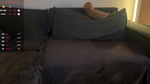 Valery online show from 02/20/25, 07:52