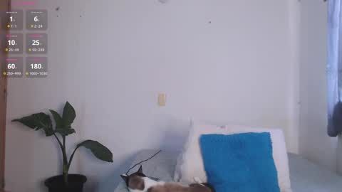 IG-valen mendoza99  twitter valenthompson99 online show from 04/11/26, 01:04