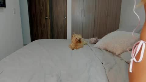 Angela online show from 04/21/26, 11:18