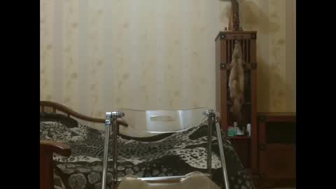 valentijm online show from 04/17/26, 06:22