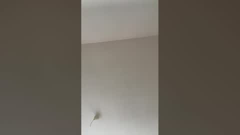 valerianleclercq2025 online show from 02/27/26, 04:07