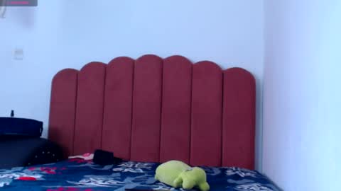 Snapshot of valerybaker1 chatting on 01/02/25, 05:18 B V Naughty online show from 01/02/25, 05:18