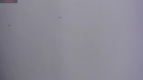 Snapshot of valka_ross chatting on 10/13/25, 11:16 VALKA ROSS online show from 10/13/25, 11:16