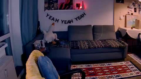 Snapshot of valorant_girl chatting on 01/17/26, 03:28 Little Devil online show from 01/17/26, 03:28