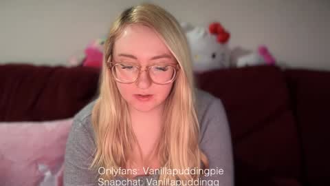 Snapshot of vanillapuddingpie chatting on 12/10/24, 11:40 vanillapuddingpie online show from 12/10/24, 11:40