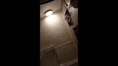 vasi06 online show from 04/12/26, 07:52