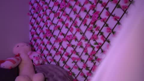 Snapshot of velvet_vice chatting on 11/04/25, 06:18 Polly online show from 11/04/25, 06:18