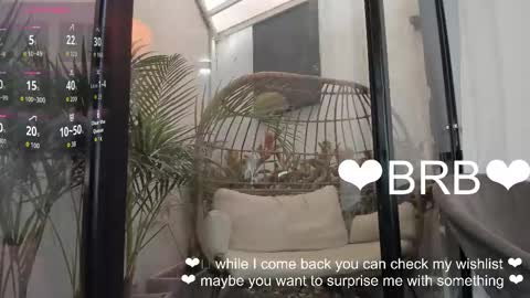 Snapshot of venus_flame chatting on 01/19/26, 11:36 VENUS online show from 01/19/26, 11:36