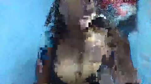 Snapshot of verolla31 chatting on 02/02/25, 08:08 verolla31 online show from 02/02/25, 08:08