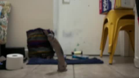 Hmartinez365 online show from 09/22/25, 02:02