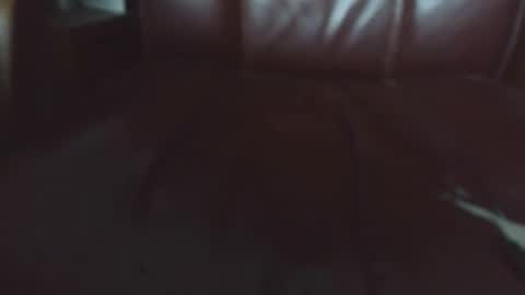 Erik online show from 04/20/26, 06:16