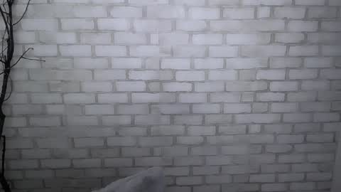 Snapshot of veryveryshygirl chatting on 12/30/24, 01:36 Ana online show from 12/30/24, 01:36