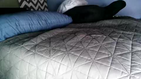 Vexnew online show from 11/02/25, 08:00