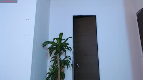 Snapshot of vicente_mendoza chatting on 12/20/24, 11:47 Vic online show from 12/20/24, 11:47