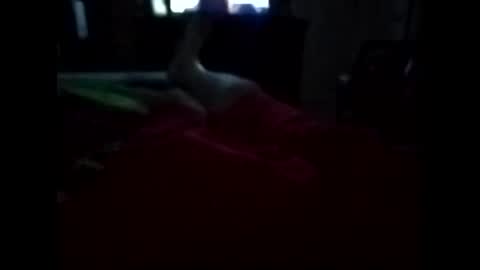 viciouzz1 online show from 11/11/25, 11:27