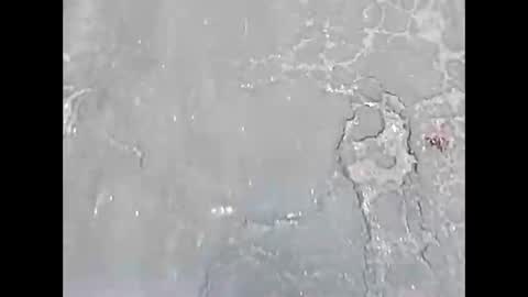 viciouzz1 online show from 11/24/25, 07:02