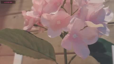 Snapshot of vickyvalencia2 chatting on 07/19/26, 12:25 vickyvalencia2 online show from 07/19/26, 12:25