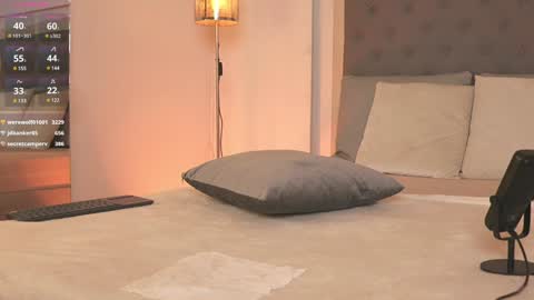         online show from 01/28/25, 03:14