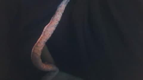 vicvictoree online show from 12/14/25, 02:06