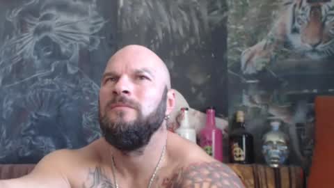 Snapshot of viking_me chatting on 10/25/25, 07:49 viking online show from 10/25/25, 07:49