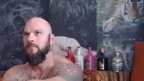 Snapshot of viking_me chatting on 11/04/25, 08:02 viking online show from 11/04/25, 08:02