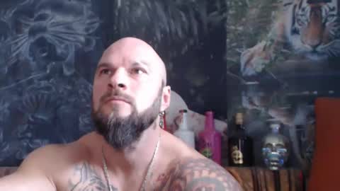 Snapshot of viking_me chatting on 11/11/25, 08:14 viking online show from 11/11/25, 08:14