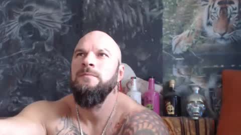 Snapshot of viking_me chatting on 11/18/25, 07:46 viking online show from 11/18/25, 07:46