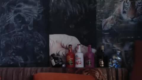 Snapshot of viking_me chatting on 12/14/25, 08:41 viking online show from 12/14/25, 08:41