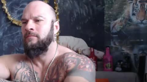 viking online show from 02/11/26, 07:35