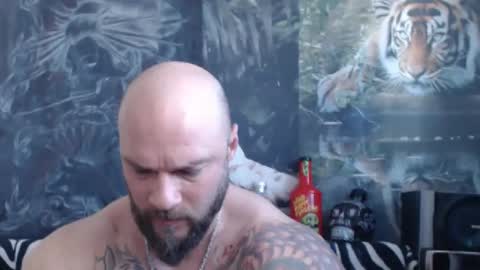 viking online show from 04/12/26, 06:07