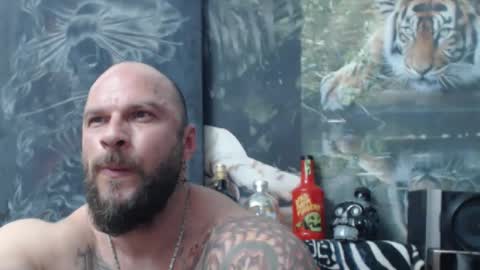 viking online show from 04/16/26, 06:41