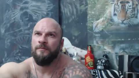 viking online show from 04/17/26, 06:11