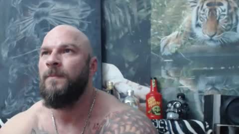 viking online show from 04/19/26, 05:34