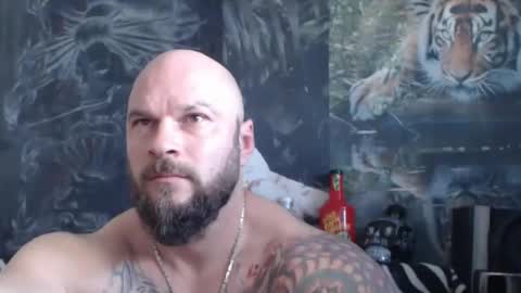 viking online show from 04/20/26, 06:16