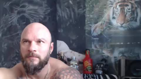 viking online show from 04/22/26, 06:38