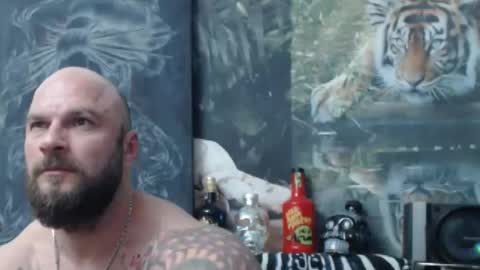 viking online show from 04/22/26, 06:53