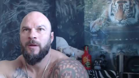 viking online show from 04/23/26, 06:58