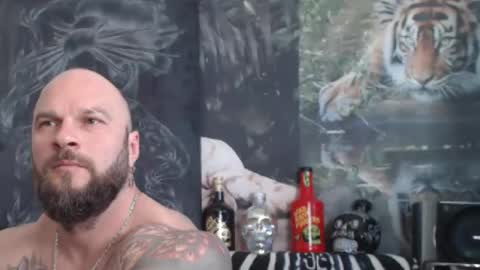 viking online show from 04/24/26, 10:50