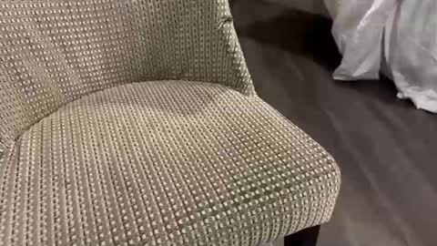 vincent_cb online show from 11/27/25, 10:34