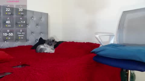 vinzent_lafed_ online show from 10/05/25, 07:39