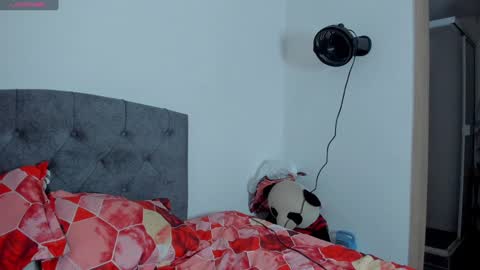 Violet and Casper online show from 01/17/25, 09:50