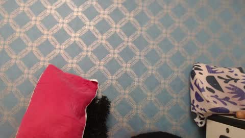 Snapshot of violeta_cute18 chatting on 01/10/25, 10:15 Violeta online show from 01/10/25, 10:15