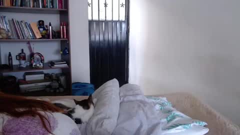 Snapshot of violeta_peter69 chatting on 02/23/25, 08:33 Violeta Peter online show from 02/23/25, 08:33