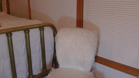 Violet Skye online show from 03/11/26, 11:44