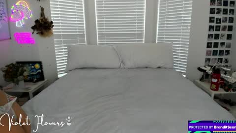 Violet Flowers online show from 04/08/26, 05:24