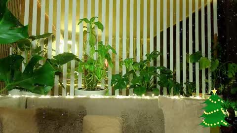 Violetta online show from 01/07/26, 11:18