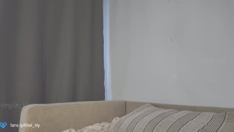 Snapshot of virgiin_lily chatting on 01/14/25, 04:47  Lily  online show from 01/14/25, 04:47