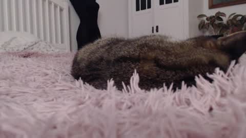 Snapshot of visceratio chatting on 02/07/25, 09:15 Visceratio online show from 02/07/25, 09:15